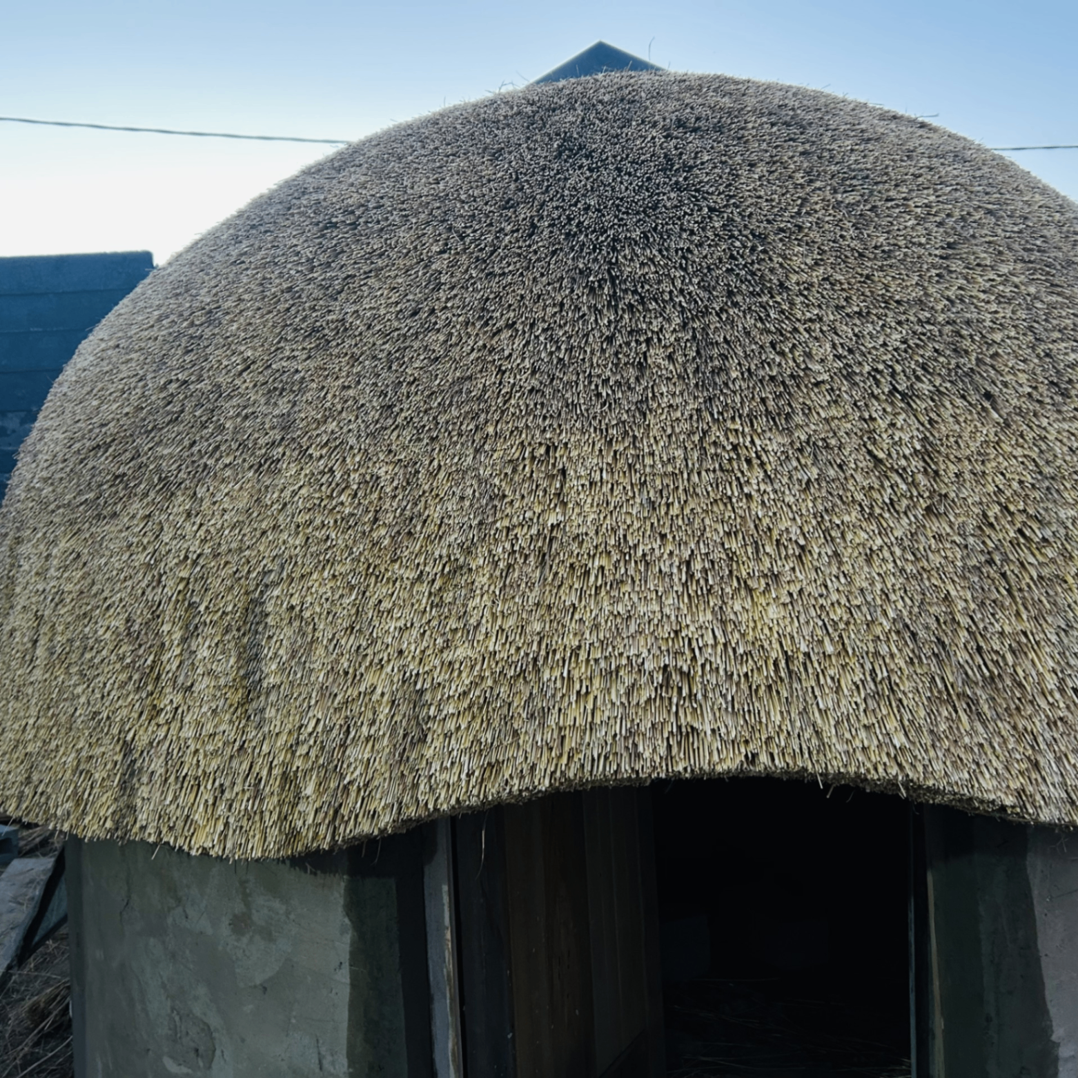 Close-up of dome thatch roof craftsmanship